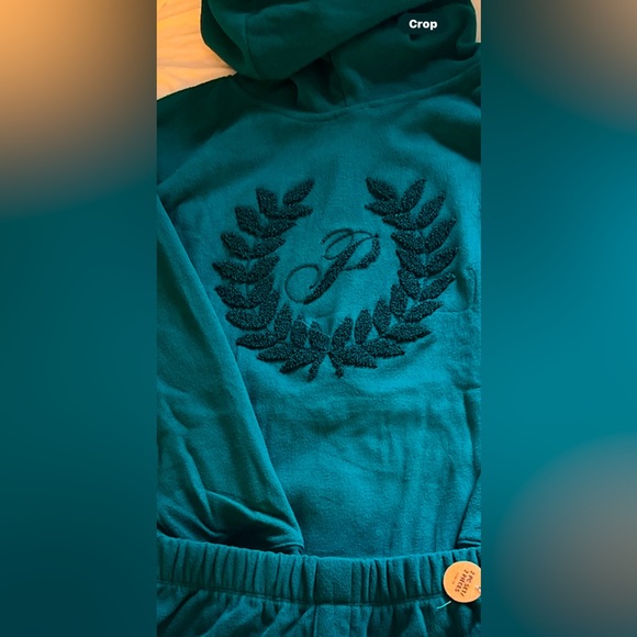 PINK by VS polar fleece short and hoodie pajama set green logo on back sz lg - Picture 6 of 12